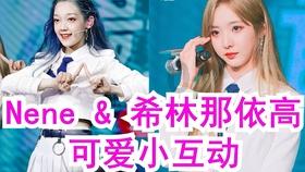 最大的猫科动物是狮虎兽还是虎狮兽,有多重?-专业的问答类网站